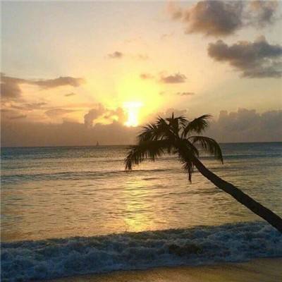 美高梅mgm1888网站