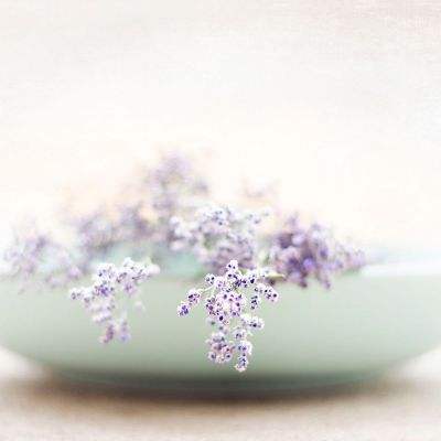 森林舞会游戏下