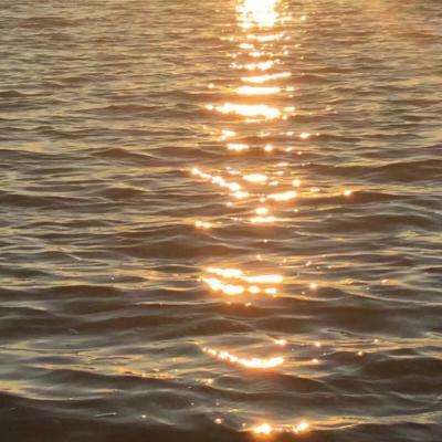 Kaiyun下载手机版截图